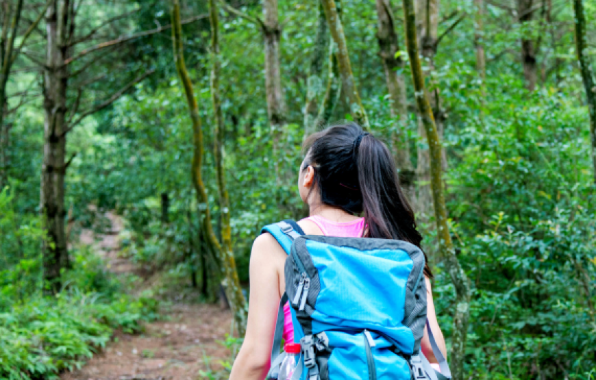 Trekking and Hiking