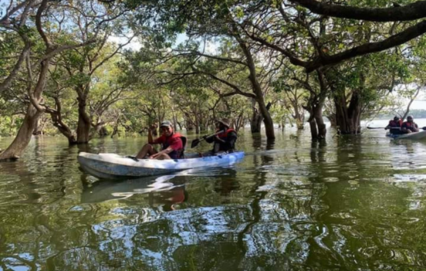 Kayaking and canoeing