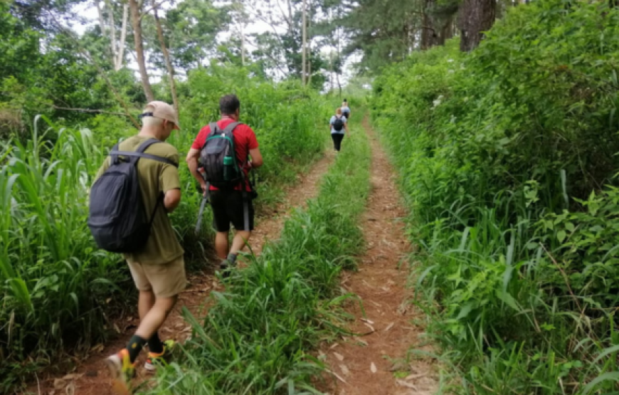 Trekking and Hiking